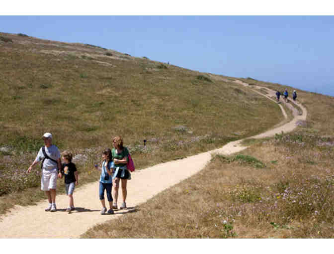 A Tule Elk Trek at Tomales Point with David Press for Ten + A Set of Audubon Nature Apps
