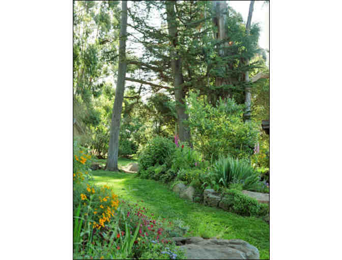 A Wild Mushroom Foray, Dinner & Overnight Stay at the Olema Druids Hall for Six