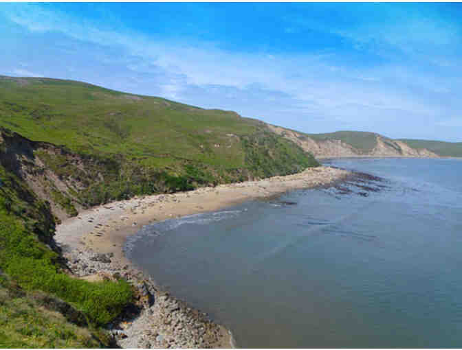 Marvelous Marine Mammal Excursion w/ Dr. Sarah G. Allen for Six + UC Press Book Collection