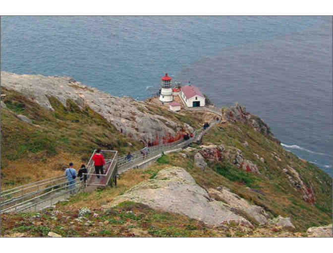 Marvelous Marine Mammal Excursion w/ Dr. Sarah G. Allen for Six + UC Press Book Collection