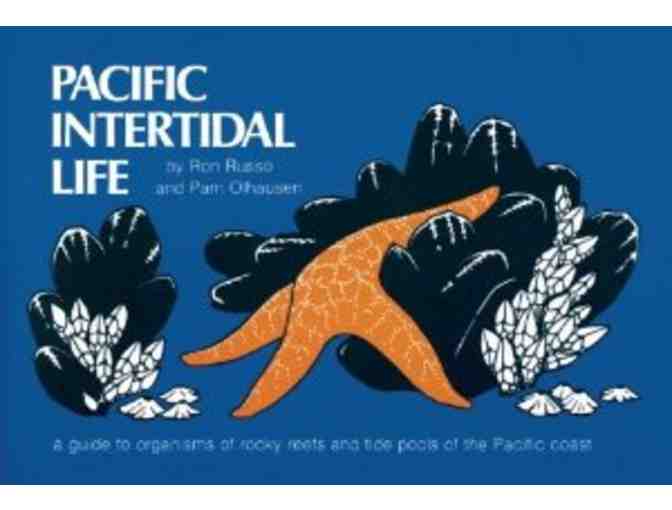 Life at the Edge of the Sea: A Tidepool Tour with Dr. Ben Becker for Ten