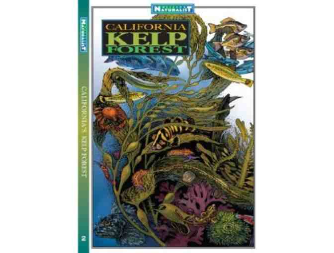 Life at the Edge of the Sea: A Tidepool Tour with Dr. Ben Becker for Ten