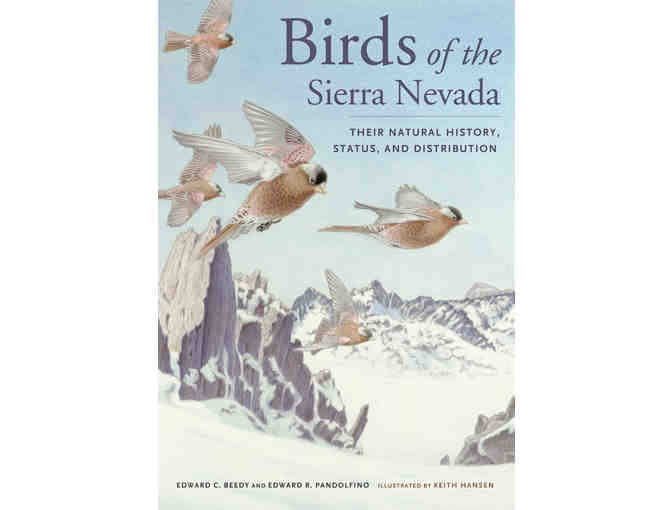 Bolinas Birding & Studio Visit w/ Keith Hansen + Swarovski Optik Scope