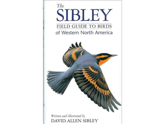 Bolinas Birding & Studio Visit w/ Keith Hansen + Swarovski Optik Scope