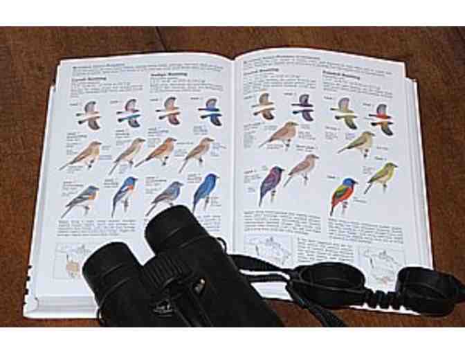 Bolinas Birding & Studio Visit w/ Keith Hansen + Swarovski Optik Scope