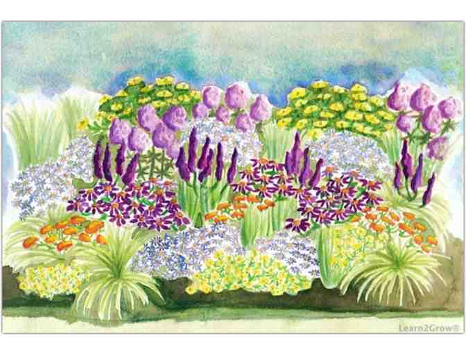 Grow Native: Design, Seed and Plant Your New Oasis (Bay Area Residents Only)