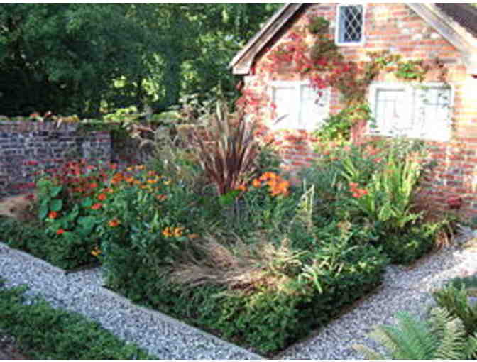 Grow Native: Design, Seed and Plant Your New Oasis (Bay Area Residents Only)