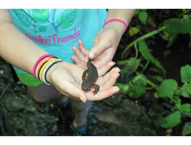 Rustic Retreat, Naturalist Walk and Paella Dinner at Camp Clem for 25