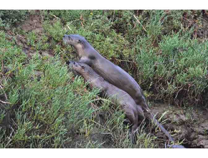 Play on the Bay with Blue Waters Kayaking + Oyster BBQ (Sat- October 19 -Ticket Only)