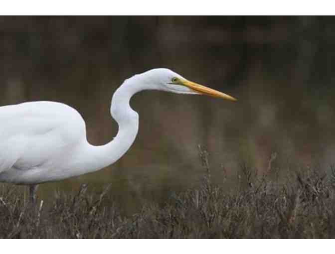 Play on the Bay with Blue Waters Kayaking + Oyster BBQ (Sat- October 19 -Ticket Only)