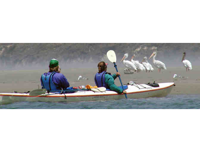 Play on the Bay with Blue Waters Kayaking + Oyster BBQ (Sat- October 19 -Ticket Only)