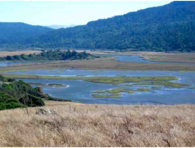 Play on the Bay with Blue Waters Kayaking + Oyster BBQ (Sat- October 19 -Ticket Only)