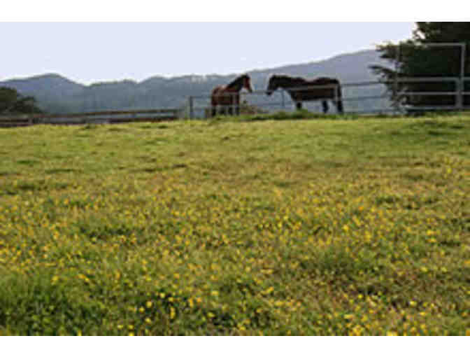 Overnight in Olema with Roundstone Farm + Horseback Ride for Two with Five Brooks Ranch