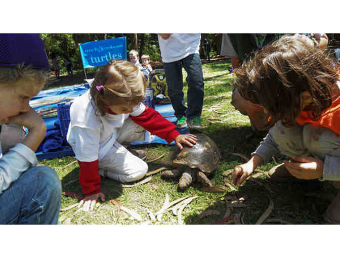 Single Pass for Kid's Play Night in San Francisco w/ Tree Frog Treks (Up to 10)