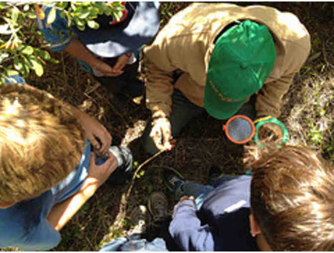 Single Pass for Kid's Play Night in San Francisco w/ Tree Frog Treks (Up to 10)