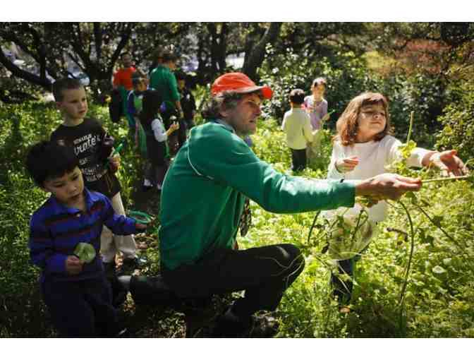 Single Pass for Kid's Play Night in San Francisco w/ Tree Frog Treks (Up to 10)