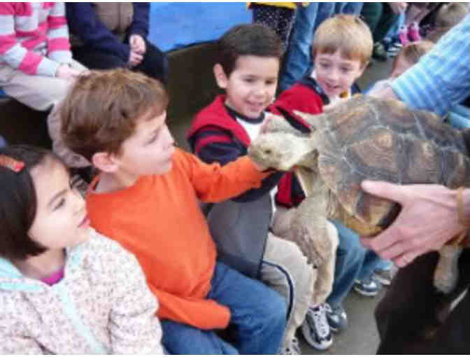 Single Pass for Kid's Play Night in San Francisco w/ Tree Frog Treks (Up to 10)