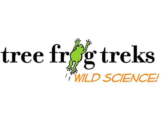 Single Pass for Kid's Play Night in San Francisco w/ Tree Frog Treks  (Up to 10)