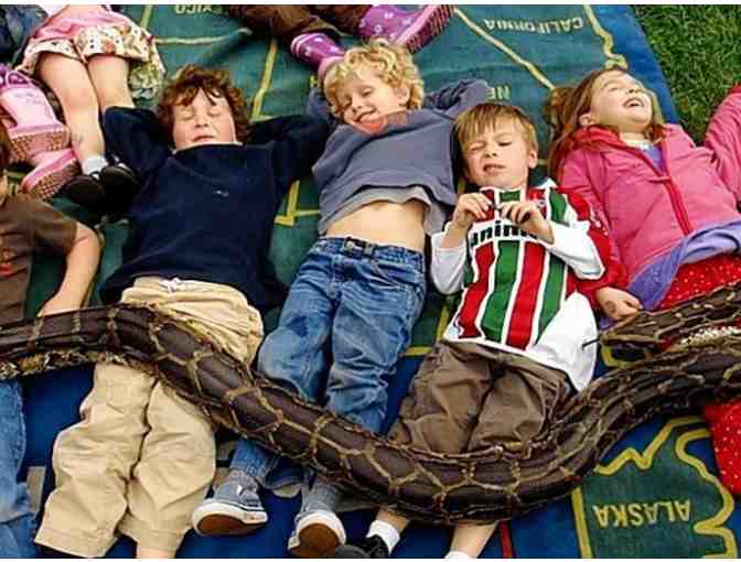 Single Pass for Kid's Play Night in San Francisco w/ Tree Frog Treks (Up to 10)