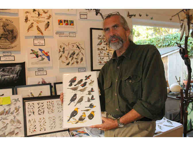Bolinas Birding & Studio Visit w/ Keith Hansen + Eagle Optics Scope Package + Bird Books