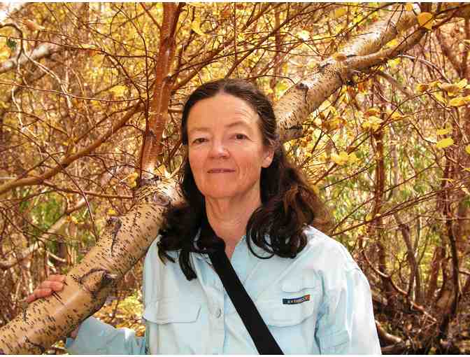 Naturalist Excursion for Six with Ellen Sampson + UC Press Library & Bay Nature Magazine