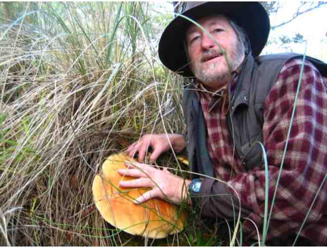 A Wild Mushroom Foray, Gourmet Dinner + Two Night Stay at Eco Refuge in Inverness for Six