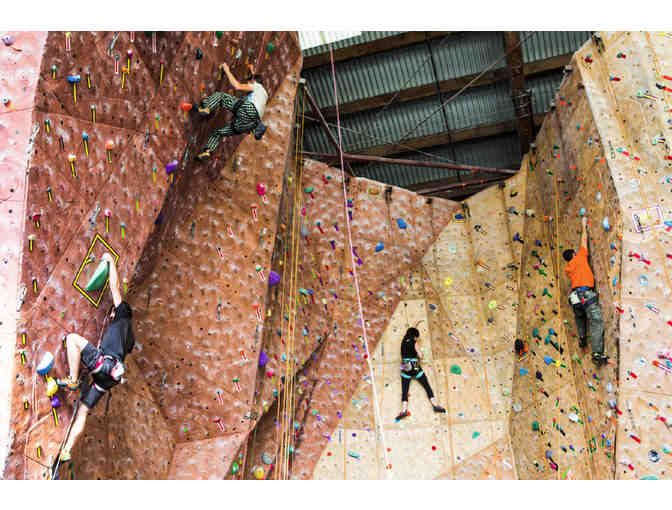 Four'Climb Time' Passes at Vertex Indoor Climbing Center in Santa Rosa + Climbing Magazine