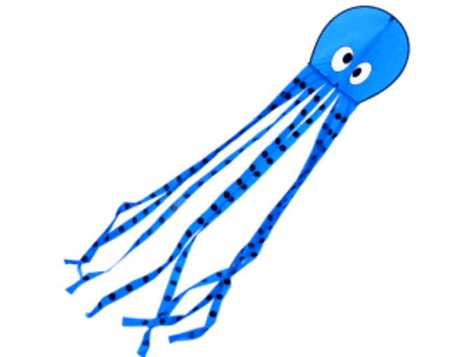 Let's Go Fly A Kite: A Blu Kicks Beach Break Swag Bag + Into the Blue Octopus Kite