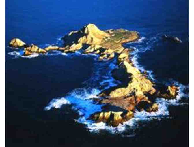 Farallon Island Nature Cruise with Oceanic Society for Two