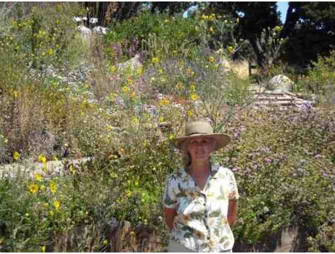Feel the Buzz! A Tour of a Pollinator's Garden for 20 + Gifts, Plants and Books!