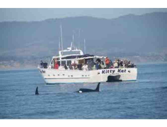 Whales, Seals and Sightseeing with San Francisco Whale Tours for a Family of Four
