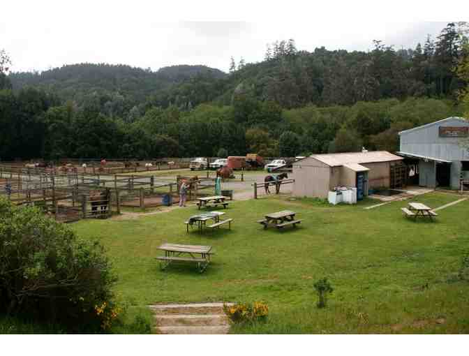 Five Brooks Ranch Horse Ride + Inn at Roundstone Farm + Marin Sun Farms for Two