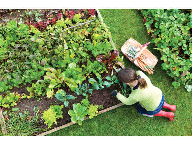 A Gardener's Bounty Basket: Gardening and Cook Books, Seeds and More!
