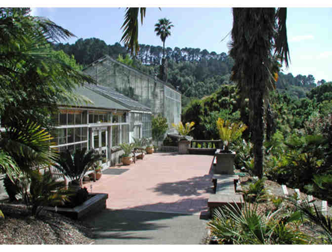 UC Berkeley Botanical Garden, Bette's Oceanview Diner, and California Bees!