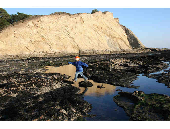 Explore Tide Pools with Dr. Ben Becker and an Overnight Stay at the Chief's House for 8!
