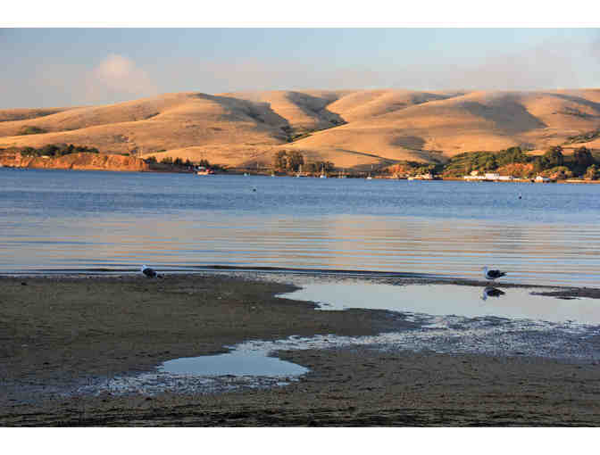An Inverness Week for 2 with Palio Coffee, Point Reyes Paddleboarding, and Offerman Paddle