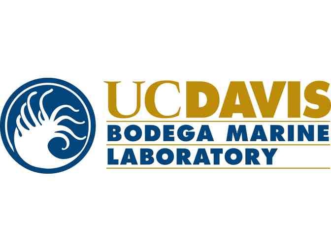 Tour Bodega Marine Laboratory with Dr. Kristin Aquilino and Stay at Bodega Bay Lodge