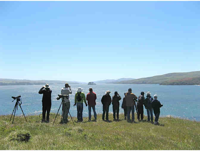 Birding Point Reyes with John Dell'Osso and 2 Weeknights at the Historic Lifeboat Station