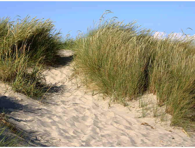 Climate Change at Point Reyes: Dune Restoration Field Trip & 2 nights in Point Reyes for 7