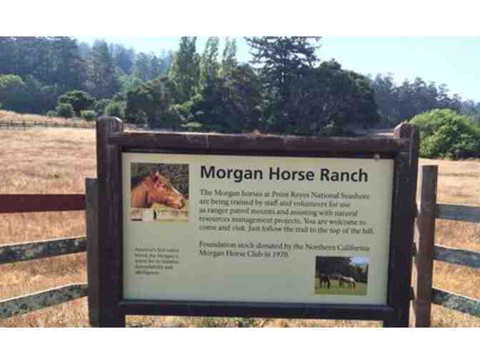 Visit the Morgan Horse Ranch at Point Reyes and Stay Two Nights in Inverness for 4