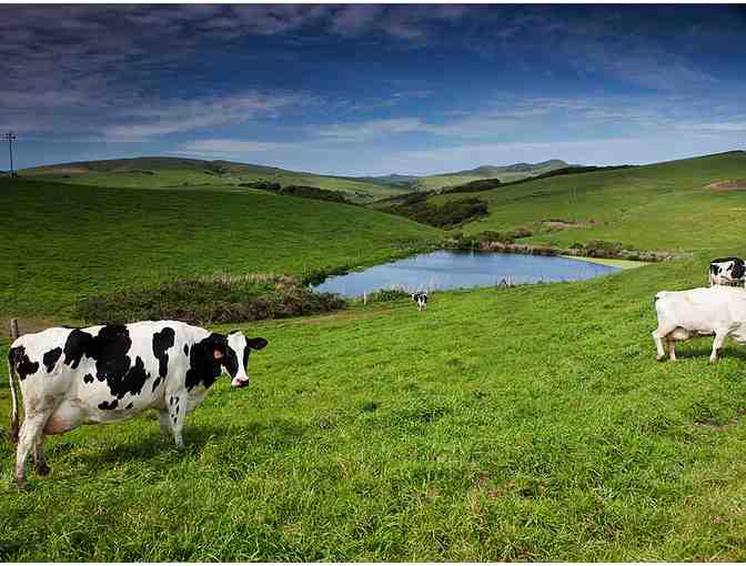 2 Nights at Bear Valley Cottage & Dinner at The Fork at Point Reyes Farmstead Cheese for 4