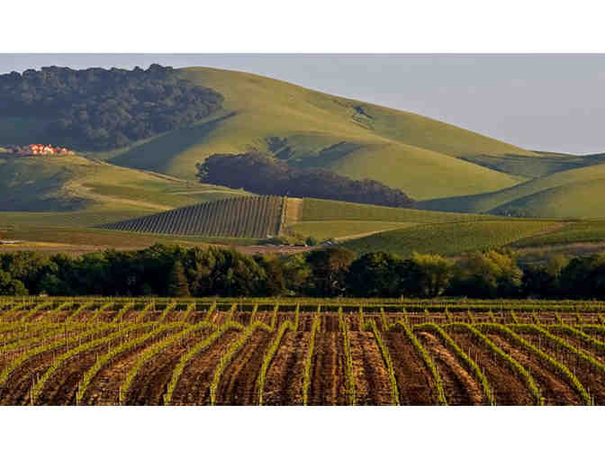 A Week in November or January for 4 at Carneros Resort, and A Green Dream Wine Tour for 2