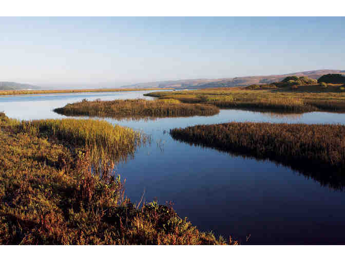 2 Nights at Sea Star Cottage on Tomales for Two Adults & PRNSA Field Institute Classes