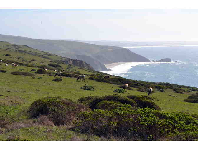 2 Nights at Sea Star Cottage on Tomales for Two Adults & PRNSA Field Institute Classes