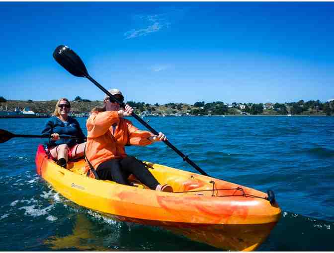 Guided Kayak Tour of the Jenner Estuary with Picnic, Lunch for 4 people with Smart Tours