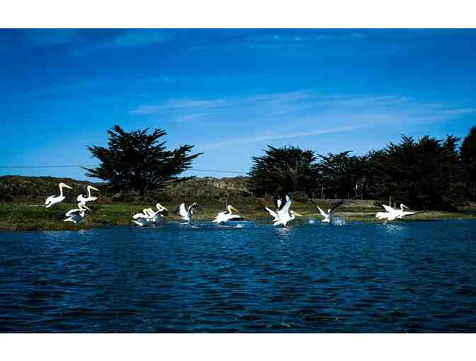 Guided Kayak Tour of the Jenner Estuary with Picnic, Lunch for 4 people with Smart Tours