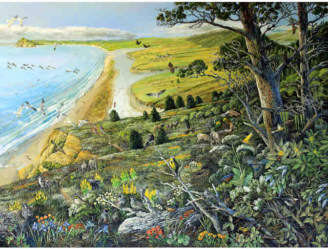 2 Nights at Sea Star Cottage on Tomales for Two Adults & PRNSA Field Institute Classes