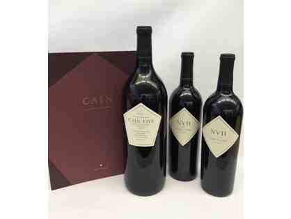 Cain Vineyard and Winery