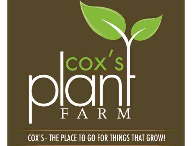 Cox's Plant Farm $15.00 Gift Certificate - Photo 1