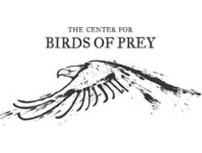 Birds of Prey Family Day Experience